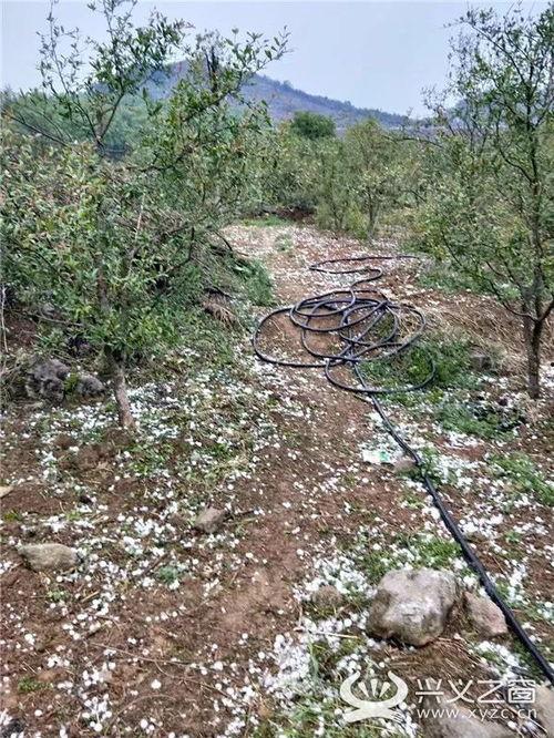 晴隆之窗最新爆料