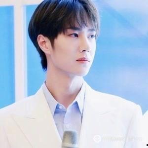 王艺博个人资料爆料视频,从个人资料到爆料视频的全方位解析